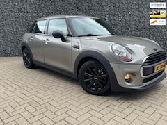 MINI One - 1.2 Salt Business