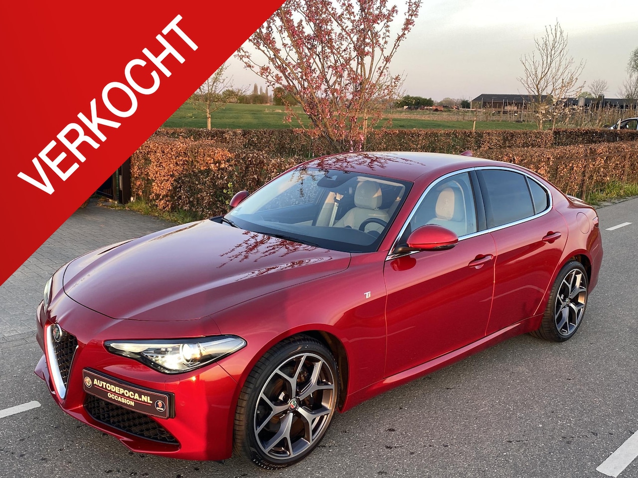 Alfa Romeo Giulia - 2.0T 6C Villa d'Este Harman Kardon, Adaptive cruise control, 19 inch bloed mooie auto! - AutoWereld.nl