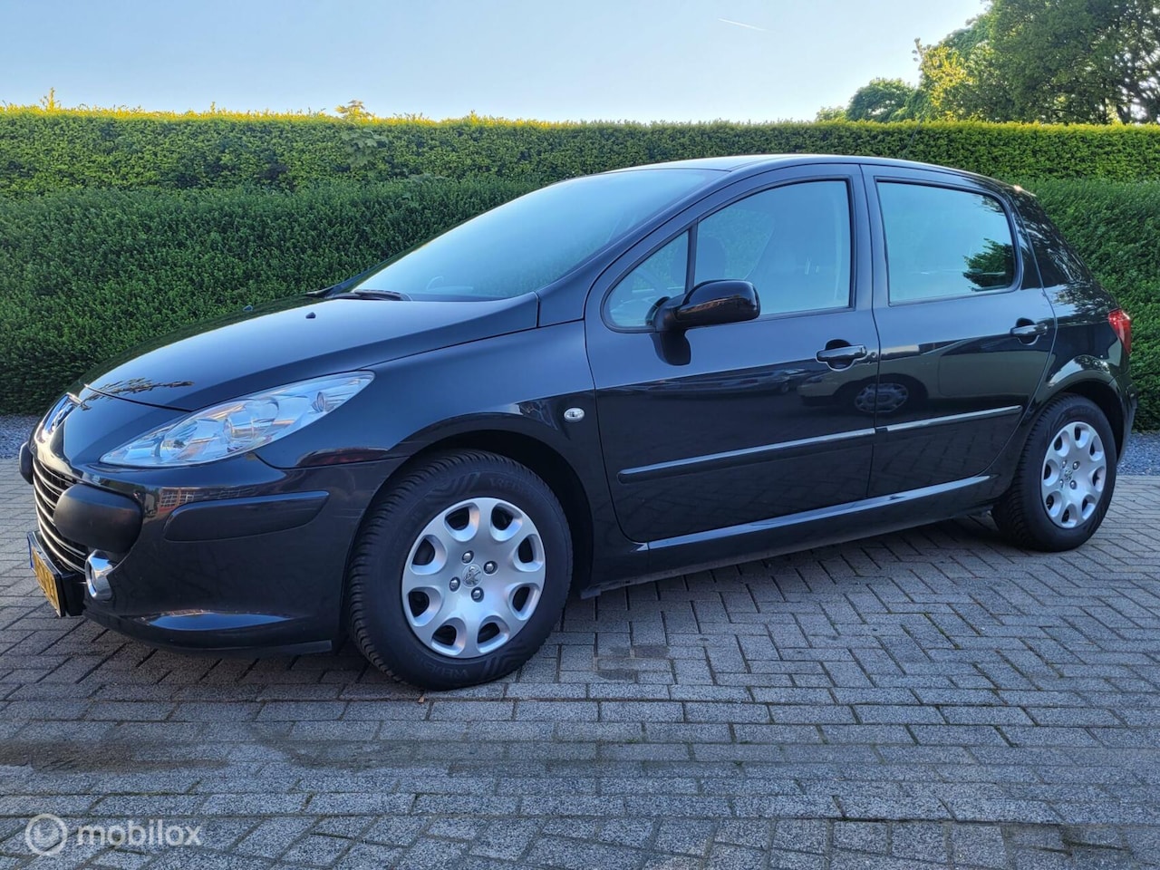 Peugeot 307 - 1.6-16V XS | Airco - Cruise Control - Elek.ramen voor - AutoWereld.nl