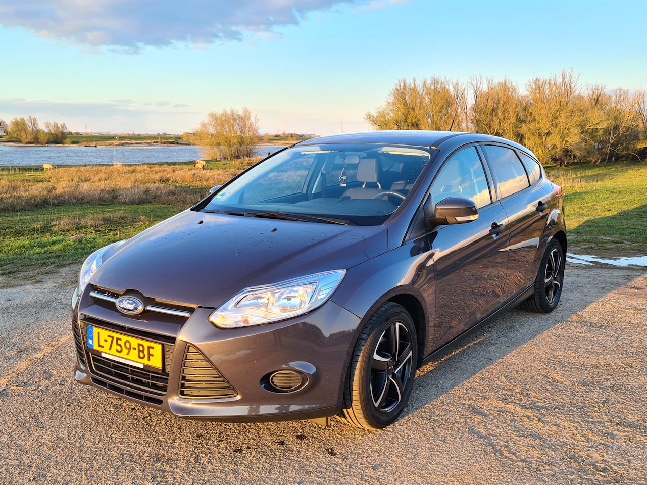 Ford Focus - 1.0 EcoBoost Ambiente - AutoWereld.nl