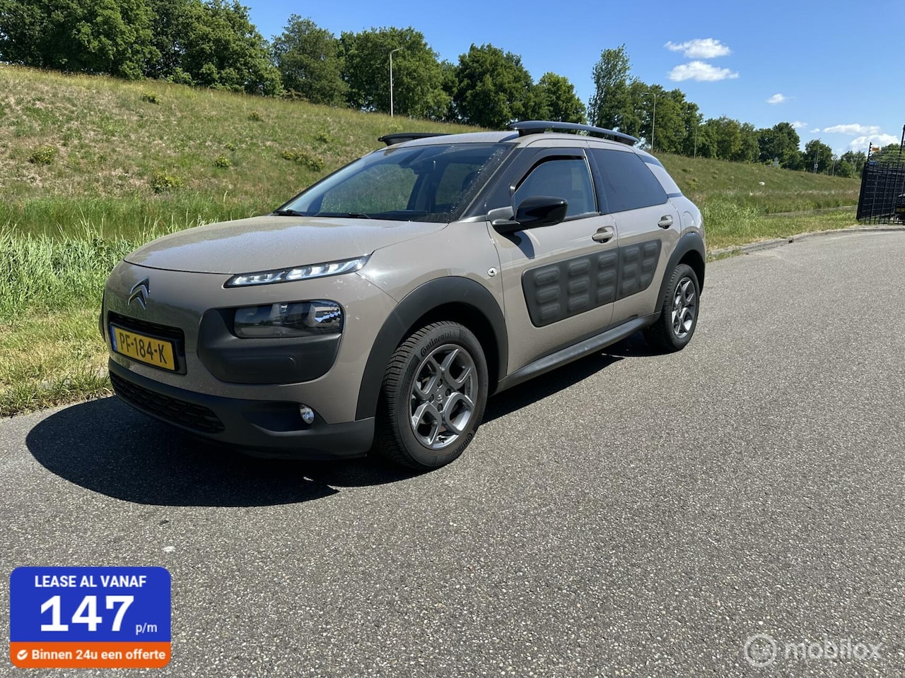 Citroën C4 Cactus - 1.2 PureTech Shine 1.2 PureTech Shine - AutoWereld.nl