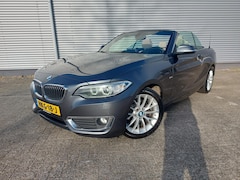 BMW 2-serie Cabrio - 218i High Executive, airco, navigatie, stoelverwarming, parkeersensoren, cruisecontrol,