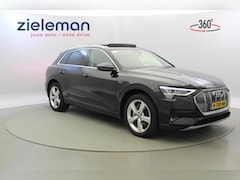 Audi e-tron - 50 quattro Launch edition plus 71 kWh - Leer, SOH 89%