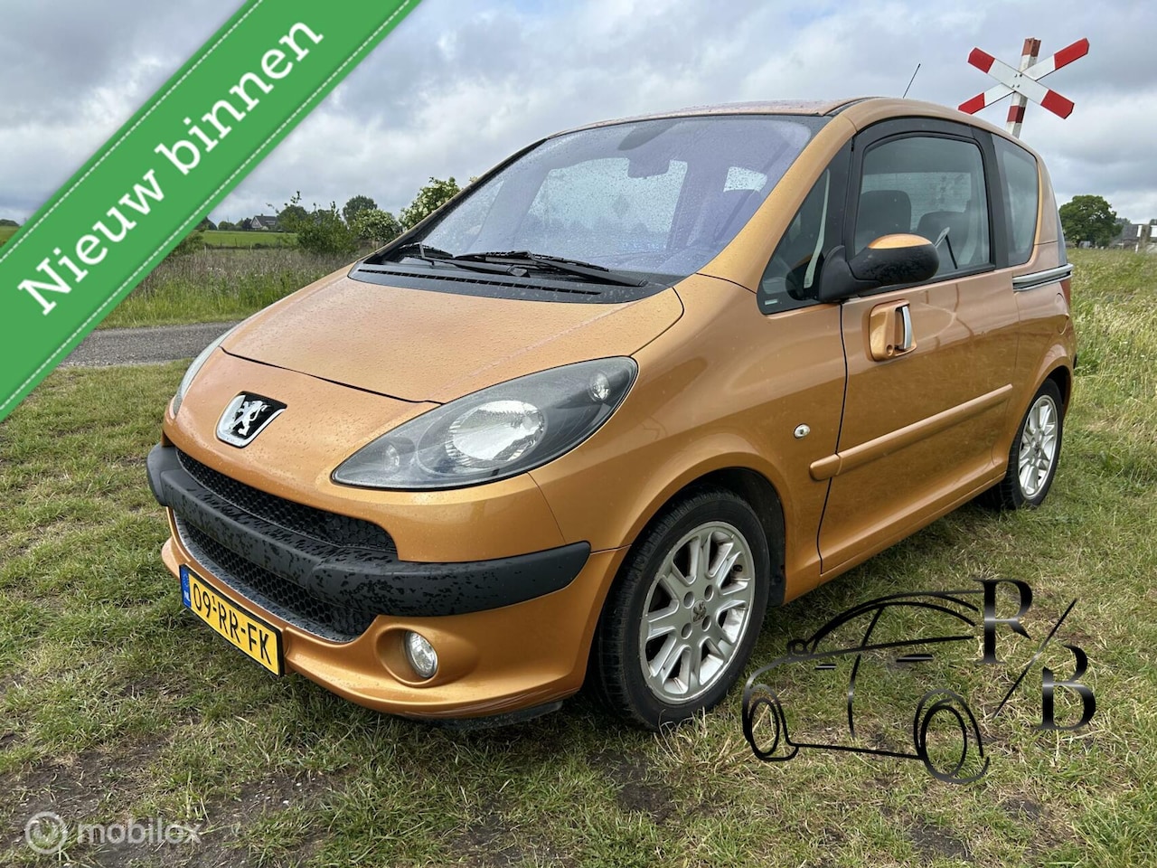 Peugeot 1007 - 1.6-16V Sporty AUTOMAAT AIRCO EL DEUREN NAP - AutoWereld.nl