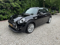 MINI Mini-Electric - Charged Full options en upgrade BTW verrekenbaar