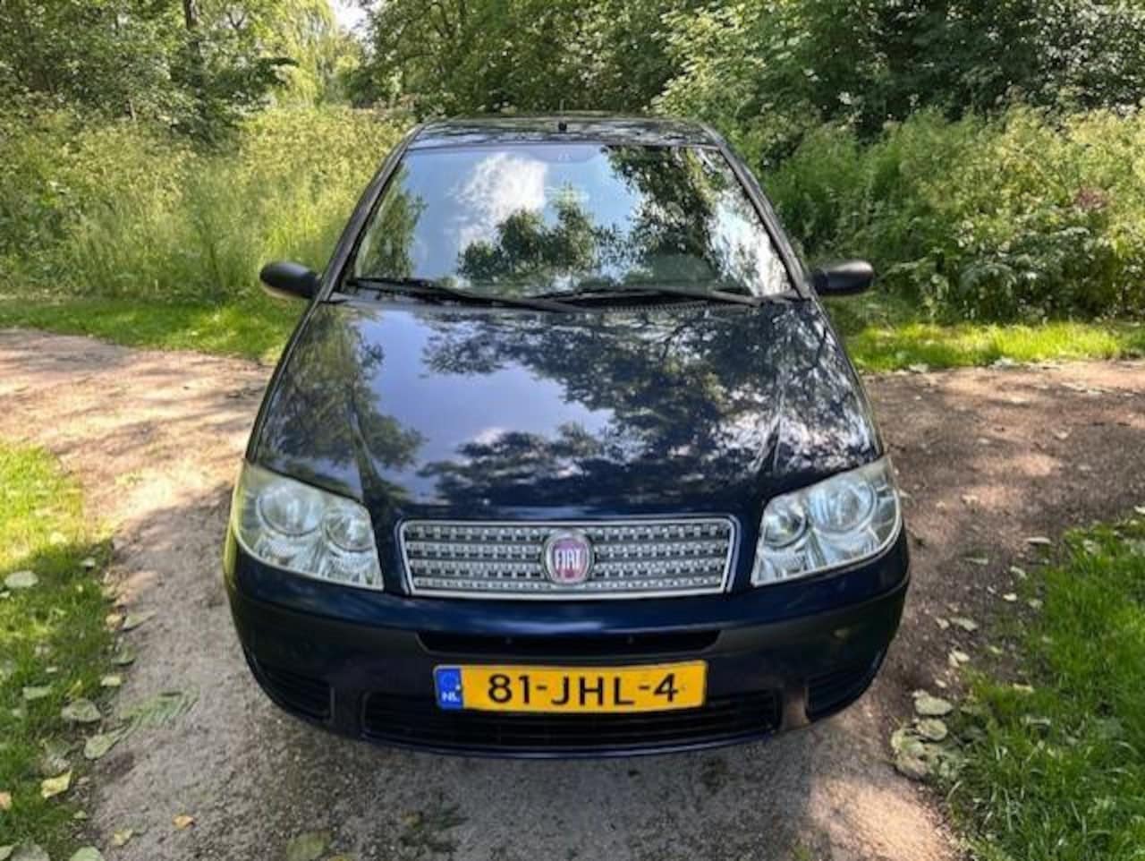 Fiat Punto - 1.2 Active 1.2 Active - AutoWereld.nl