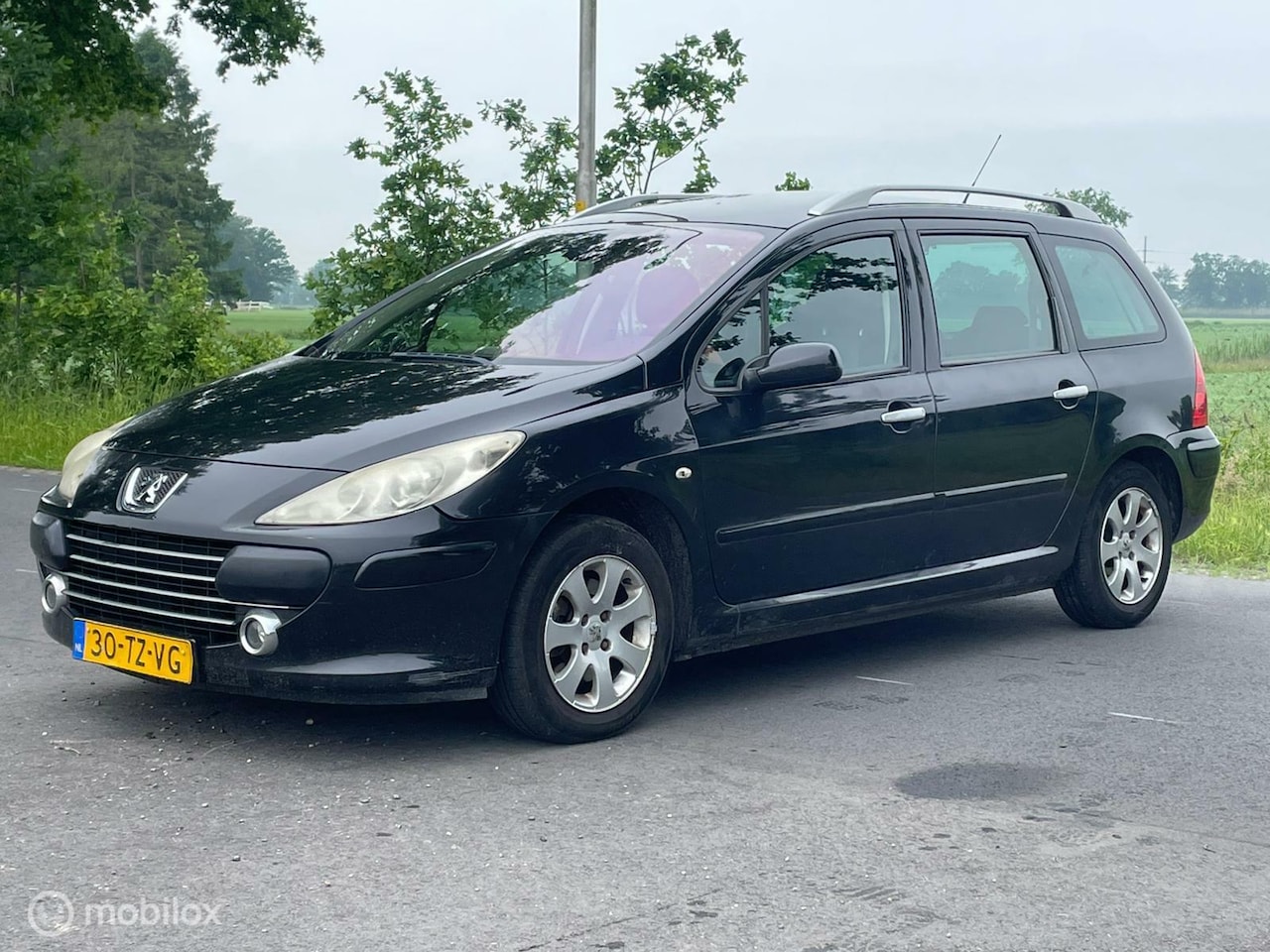 Peugeot 307 SW - 7 persoons! Panoramadak! - AutoWereld.nl