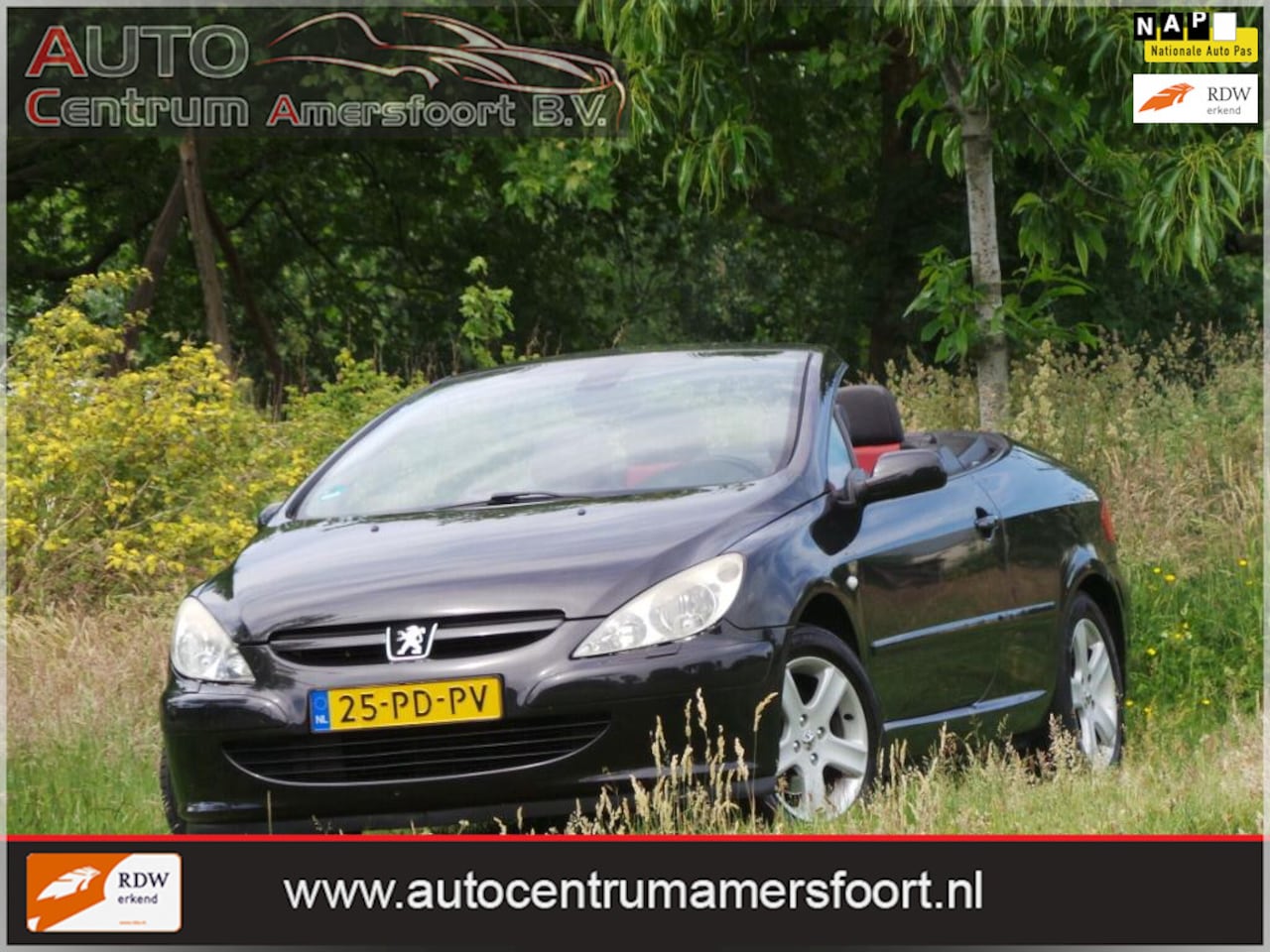 Peugeot 307 CC - 2.0-16V 2.0-16V ( INRUIL MOGELIJK ) - AutoWereld.nl