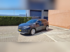 Opel Grandland X - 1.2 Turbo Bus. Ex