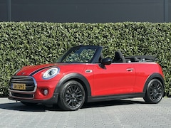 MINI Cabrio - 1.5 Cooper Pepper Serious Business, LEDER, NAVI, CRUISE, KEYLESS, LED, ECC-AIRCO, STOELVER