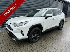 Toyota RAV4 - 2.5 Hybrid Business Plus Navi Led Leder Trekh