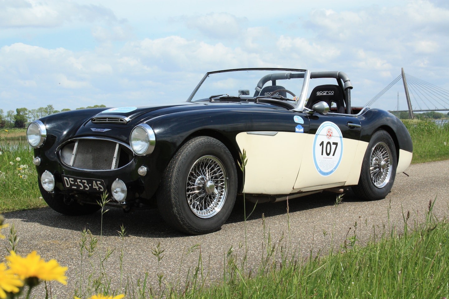Austin Healey - 3000 MK1 - AutoWereld.nl