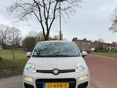 Fiat Panda - 1.2 Edizione Cool