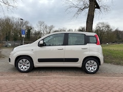 Fiat Panda - 1.2 Edizione Cool