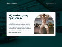 Porsche Panamera - 2.9 4 E-Hybrid | Bose | Adaptive Sport-Stoelen | Luchtvering