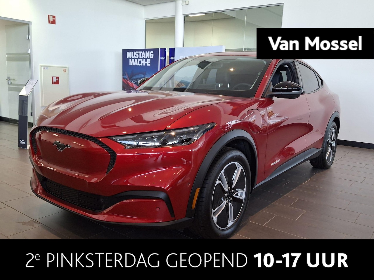 Ford Mustang Mach-E - Standard RWD 75 kWh | Voorraad | 269PK | Volledig leder | Achteruitrijcamera | Navigatie | - AutoWereld.nl