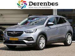 Opel Grandland X - 1.2 Turbo Business Executive | achteruitrijcamera | Apple Carplay / Android auto