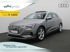 Audi e-tron - e-tron 50 quattro Launch edition plus 71 kWh 313 pk | Panoramadak | Leder | Geheugenstoel