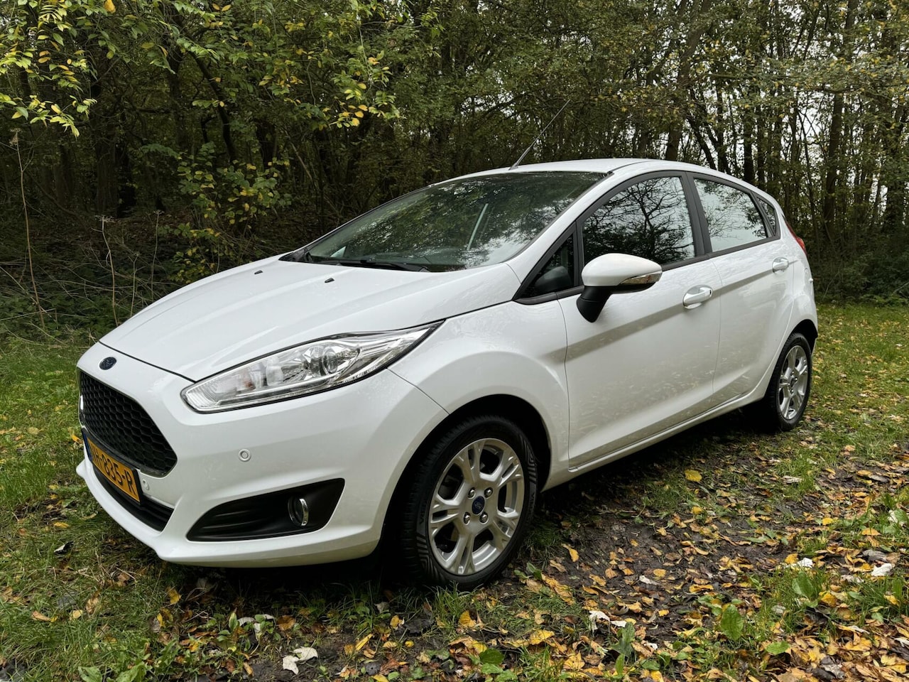 Ford Fiesta - 1.0 2017 5DR Handgeschakeld 64500 KM - AutoWereld.nl