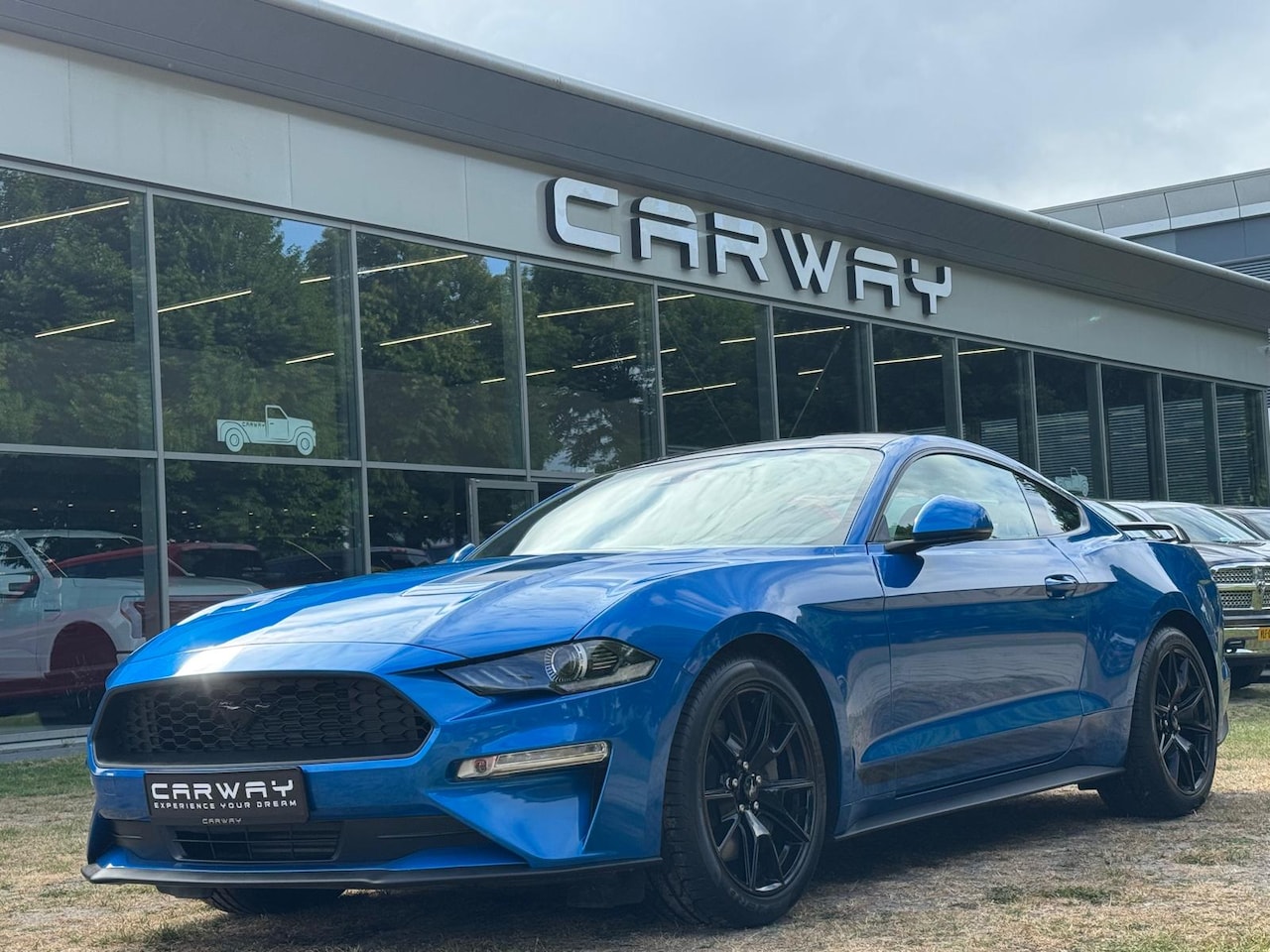 Ford Mustang - 2.3 Premium Performance - AutoWereld.nl