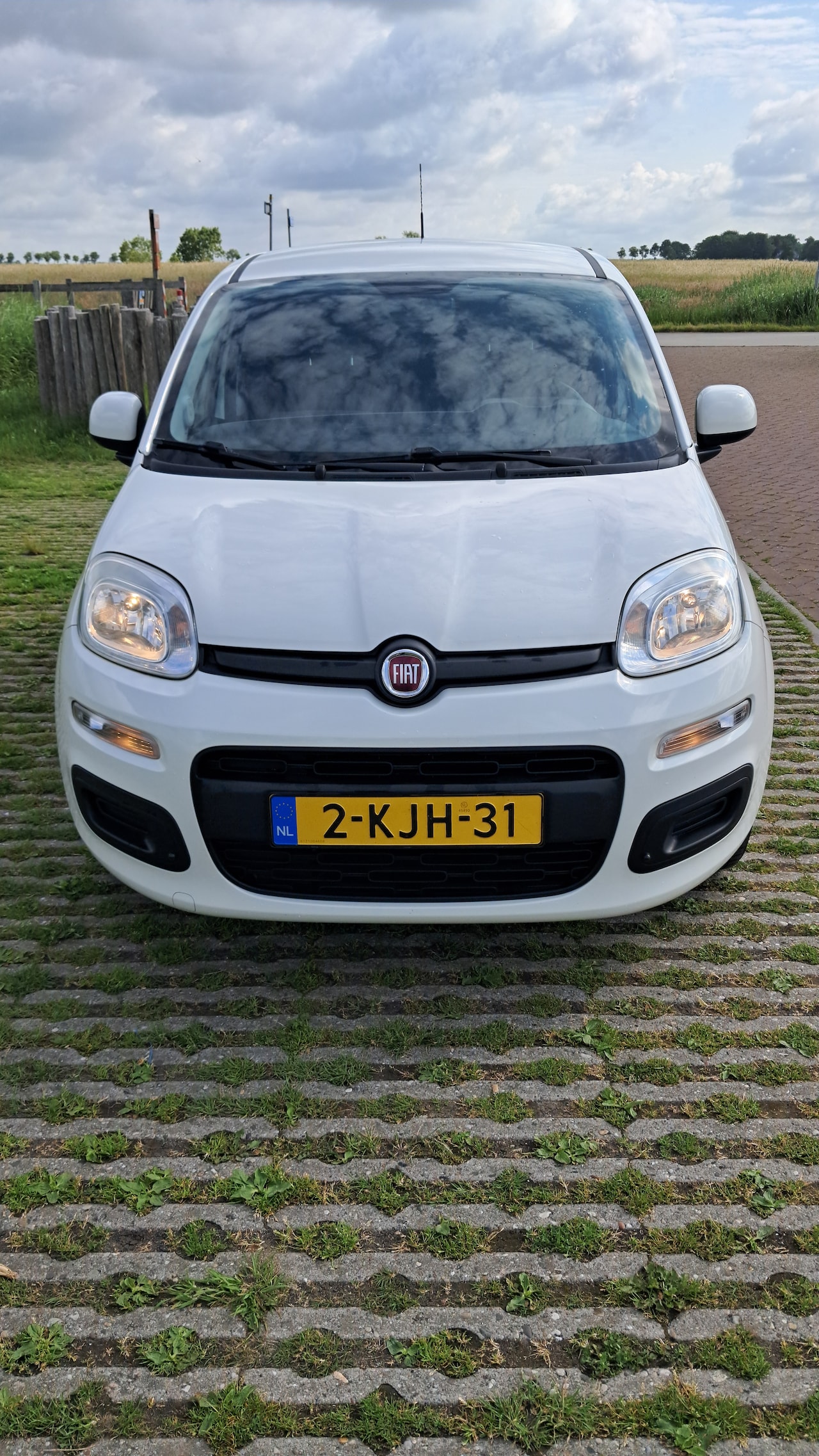 Fiat Panda - 0.9 TwinAir Edizione Cool - AutoWereld.nl