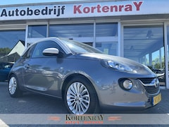 Opel ADAM - 1.0 Turbo Glam Favourite slechts 12, 345 km gereden, vol met de juiste opties