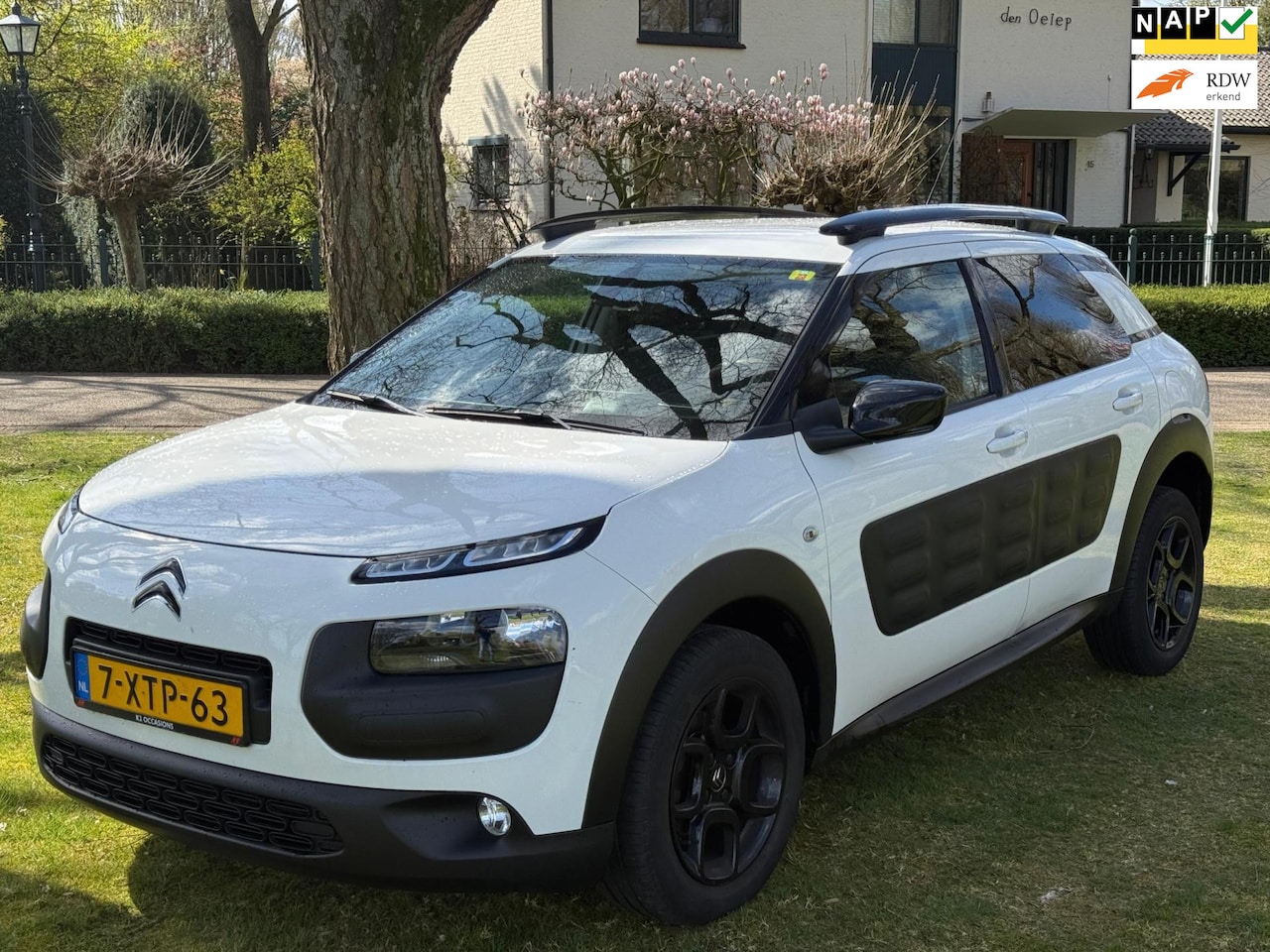 Citroën C4 Cactus - 1.6 e-HDi Shine Automaat! - AutoWereld.nl