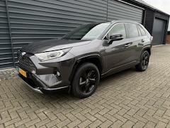 Toyota RAV4 - 2.5 Hybrid Bi-Tone Camera Navi Apple Led Stoelverwarming