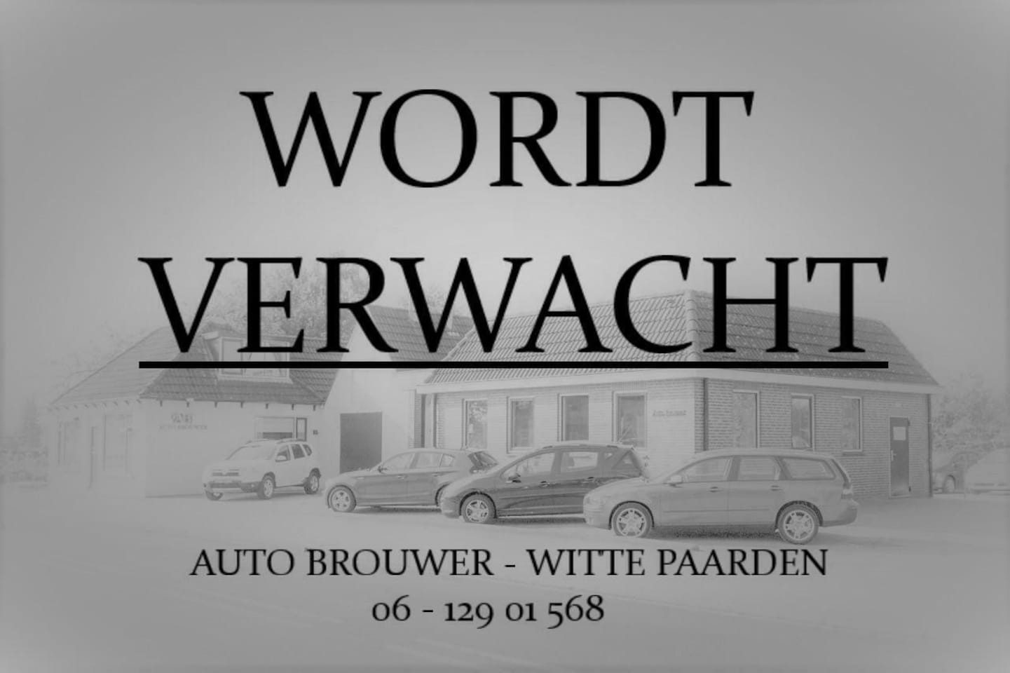 Renault Trafic - bestel 1.6 dCi T29 L2H1 DC Comfort | MARGE - AutoWereld.nl