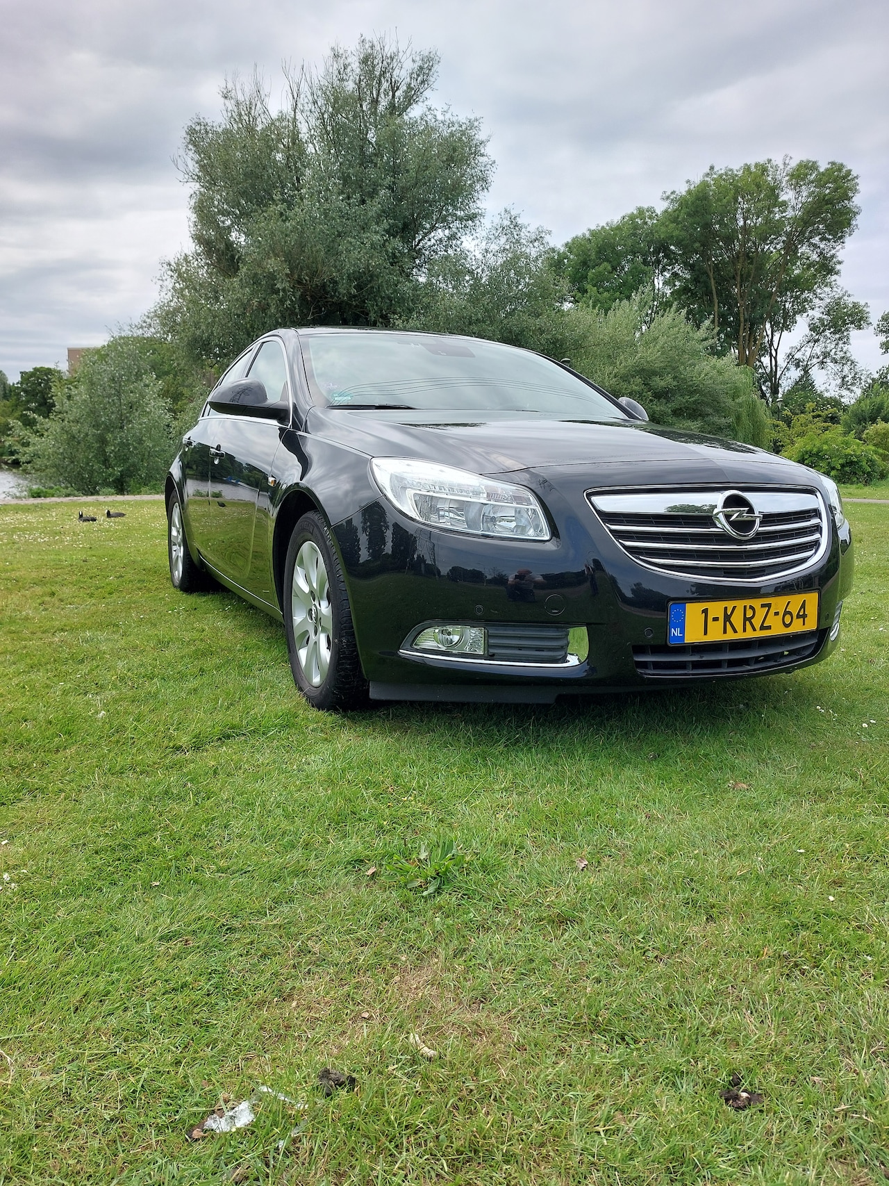 Opel Insignia - 1.4 Turbo EcoFLEX Business+ - AutoWereld.nl