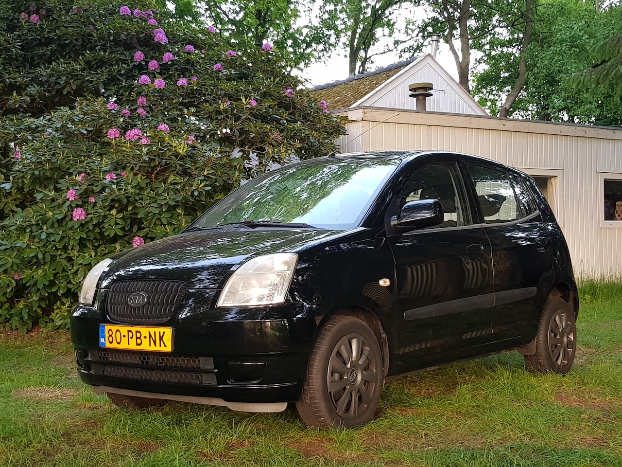 Kia Picanto - 1.1 LXE - AutoWereld.nl