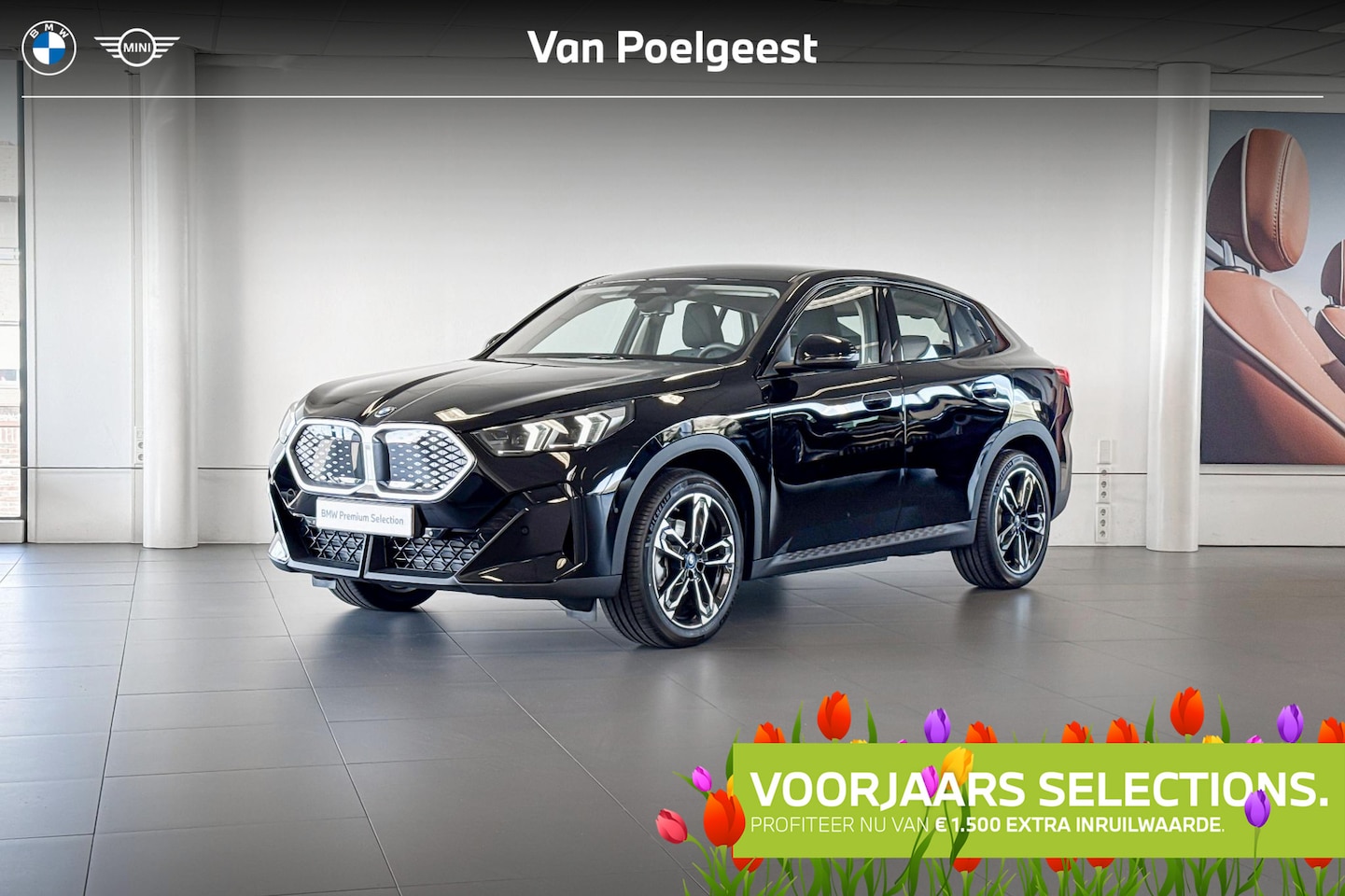 BMW iX2 - eDrive20 | Driving Assistant Plus | Achteruitrijcamera | Selections 1500 - AutoWereld.nl