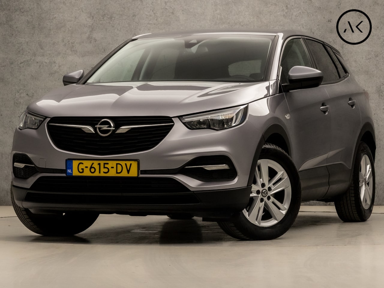 Opel Grandland X - 1.2 Turbo Business+ (APPLE CARPLAY, GROOT NAVI, STUUR/STOELVERWARMING, LEDER, SPORTSTOELEN - AutoWereld.nl