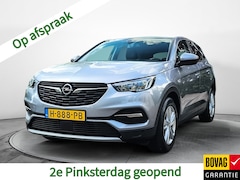 Opel Grandland X - 1.2 Turbo Business Executive (131 PK) 1e-Eig, & Dealer-Onderh. BOVAG-Garantie. NL-Auto. Tr