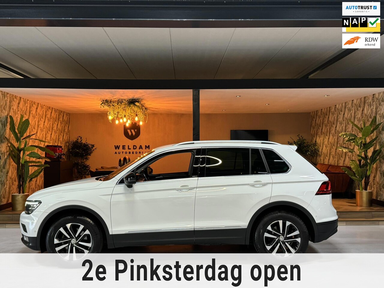 Volkswagen Tiguan - 1.5 TSI ACT IQ DRIVE DSG Garantie Keyless LED Adoptieve Cruise Lane Ass Blindspot Camera C - AutoWereld.nl