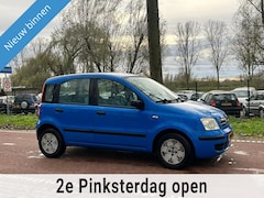 Fiat Panda - 1.2i Dynamic APKZUINIGKOOPJE