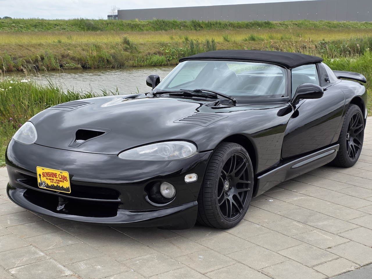 Dodge Viper - 8.0 R/T10 TARGA - AutoWereld.nl