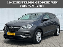 Opel Grandland X - 1.2 Turbo Business Edition NAVI | NL-AUTO- LED VERLICHTING 2DE PINKSTERDAG GEOPEND VAN 10: