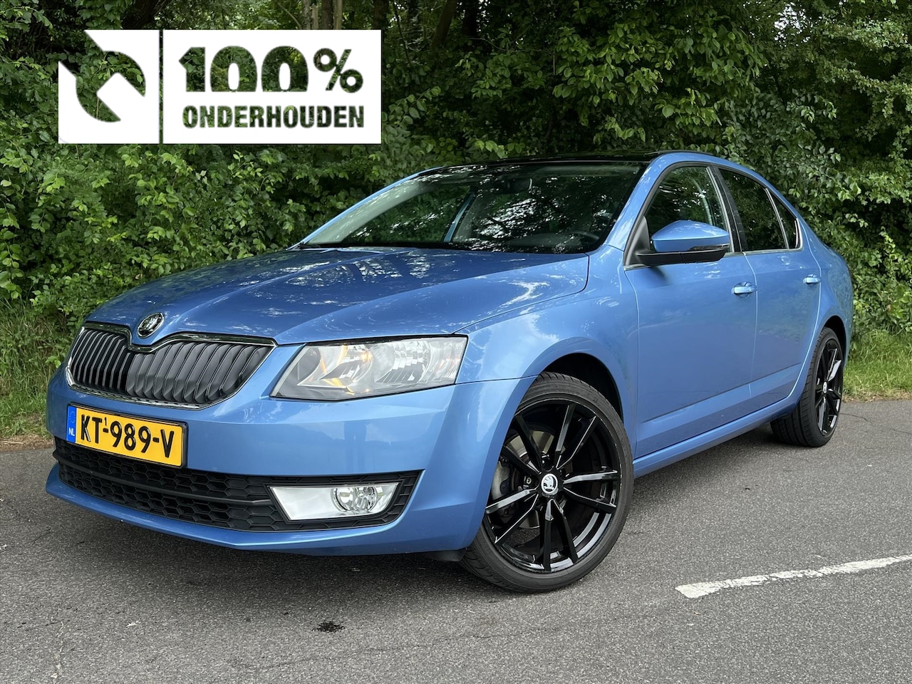 Skoda Octavia - 1.0 TSI 115pk Grntech DSG Ambition Business met Panodak - AutoWereld.nl
