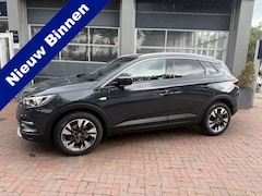 Opel Grandland X - 1.2 Turbo 131PK Business Executive Navi, 18Inch, Cruise, Clima 2018 Km 106.000 dealer onde