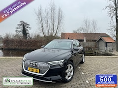 Audi e-tron - 50 quattro edition Plus 71 kWh | Pano | trekhaak