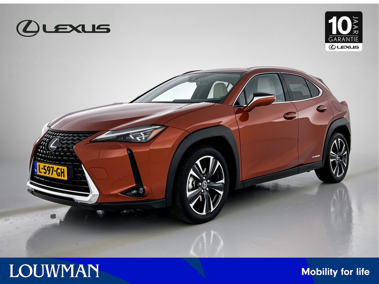 Lexus UX - 250h Executive Line | Schuifdak | Credit Card Key | Mark Levinson | - AutoWereld.nl