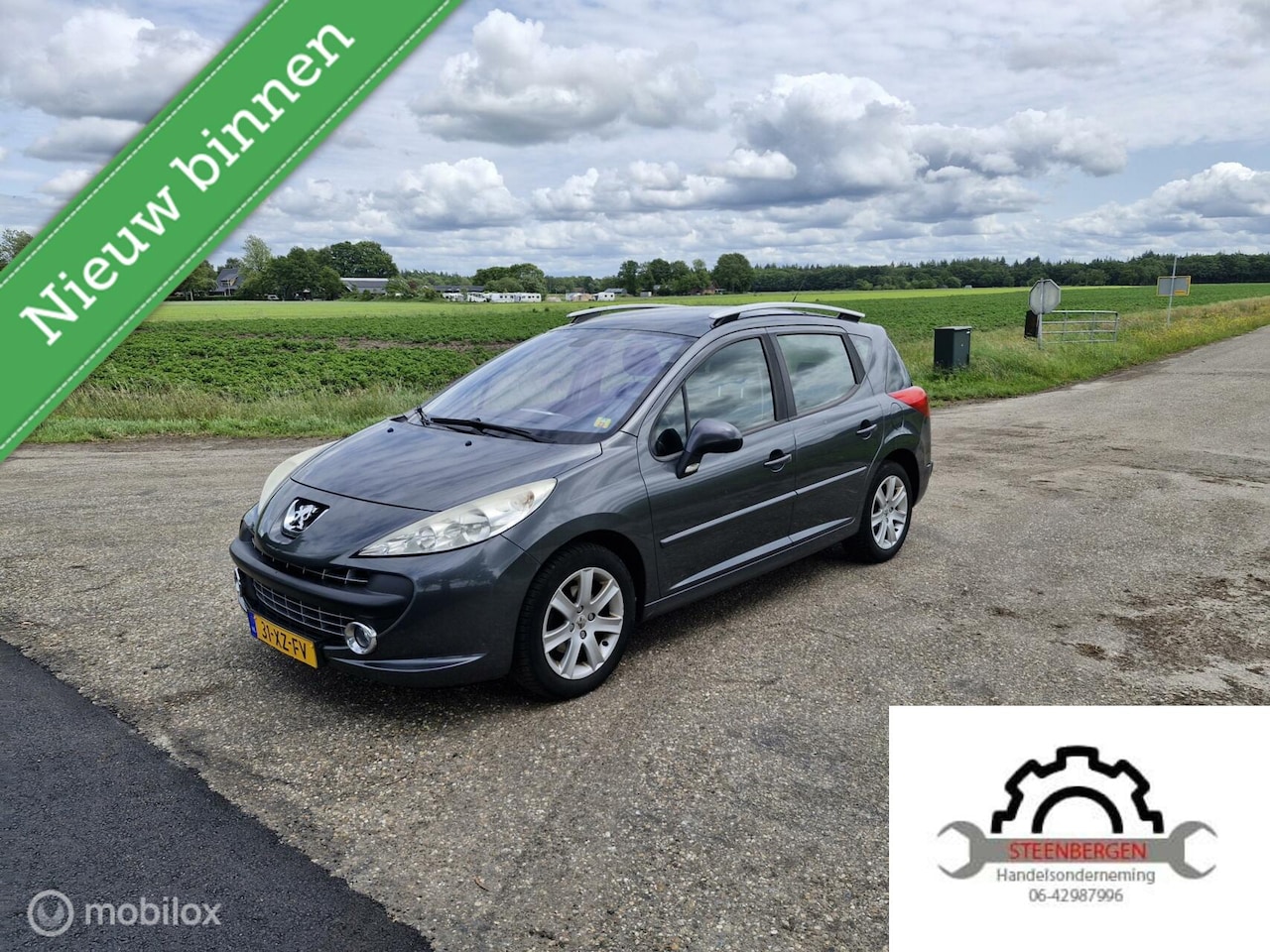 Peugeot 207 SW - 1.6 VTi XS Première 1.6 VTi XS Première - AutoWereld.nl