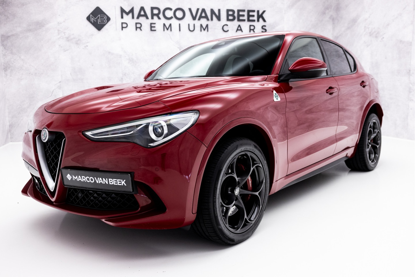 Alfa Romeo Stelvio - 2.9 V6 AWD Quadrifoglio | Carbon | Harman-Kardon | ACC | Memory - AutoWereld.nl