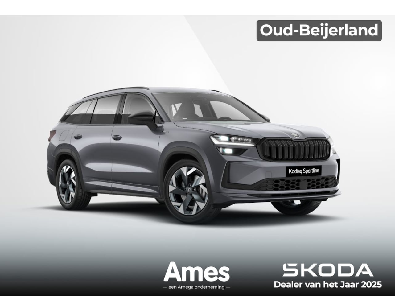 Skoda Kodiaq - 1.5 TSI PHEV 204pk Sportline Business | 19" LM velgen | Winterpakket | Matrix LED - AutoWereld.nl