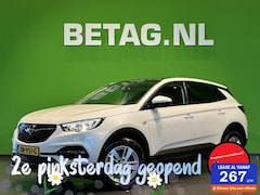 Opel Grandland X - 1.2 Turbo Business Edition | Pano | Parelmoer |