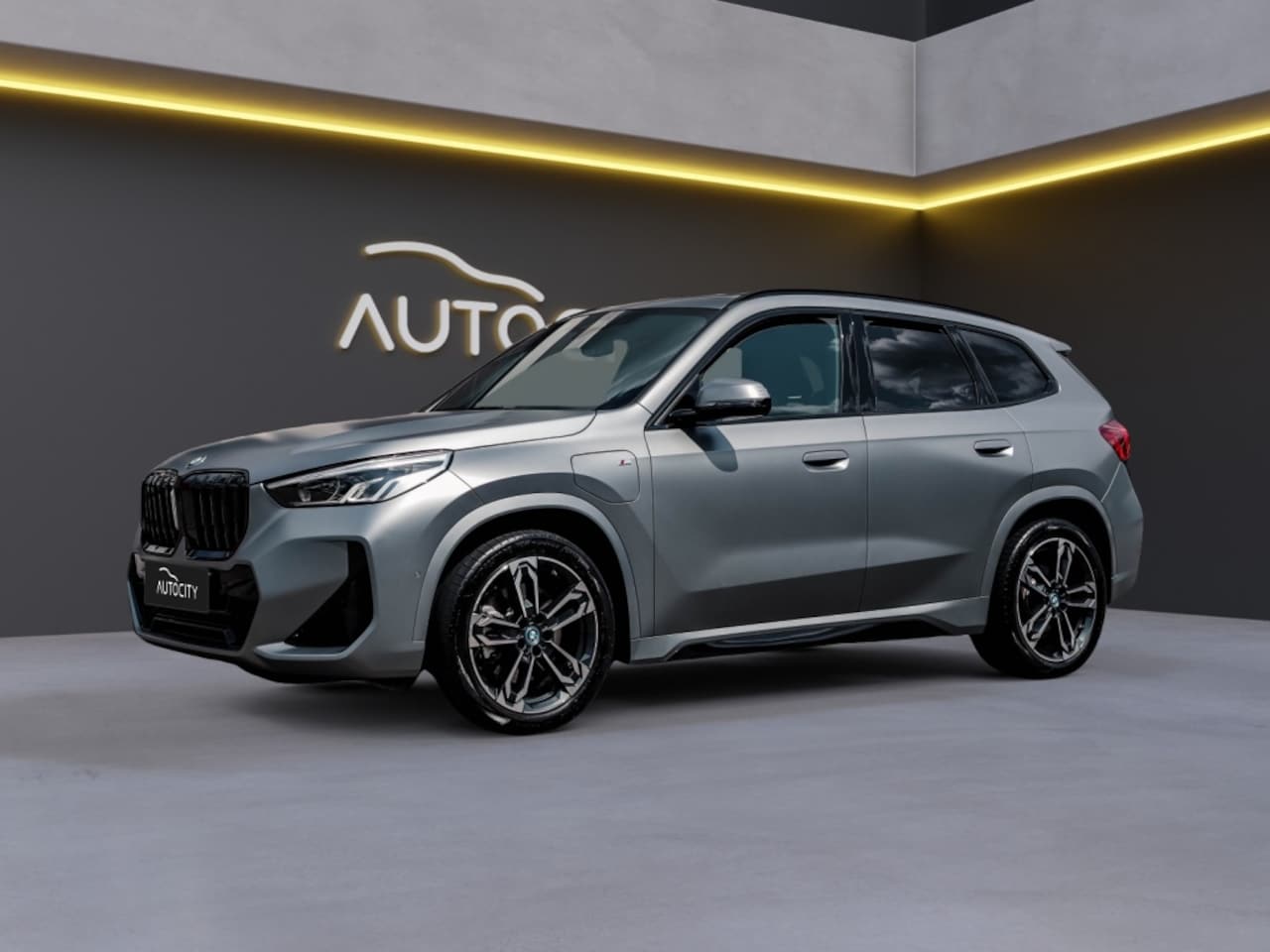 BMW X1 - X1 xDrive30e xDrive M Sport Individual Frozen Grey l Pano l Came - AutoWereld.nl