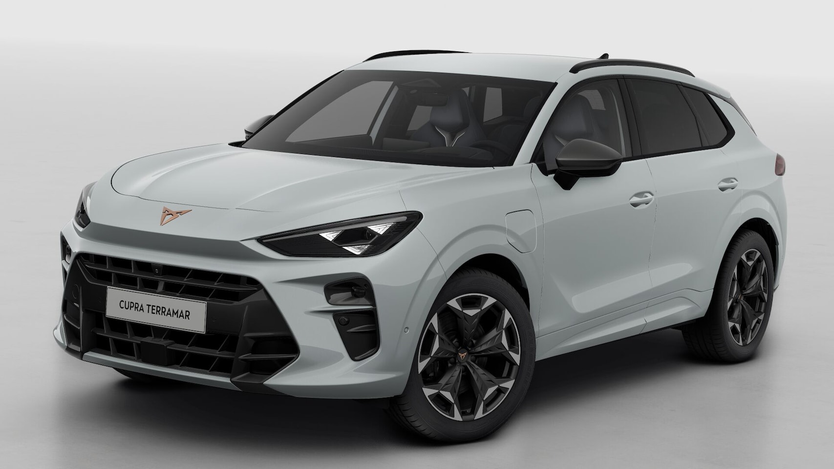CUPRA Terramar - 1.5 TSI e-Hybrid 272 6DSG VZ Performance | 360 graden camera | Achteruitrijcamera | Draadl - AutoWereld.nl