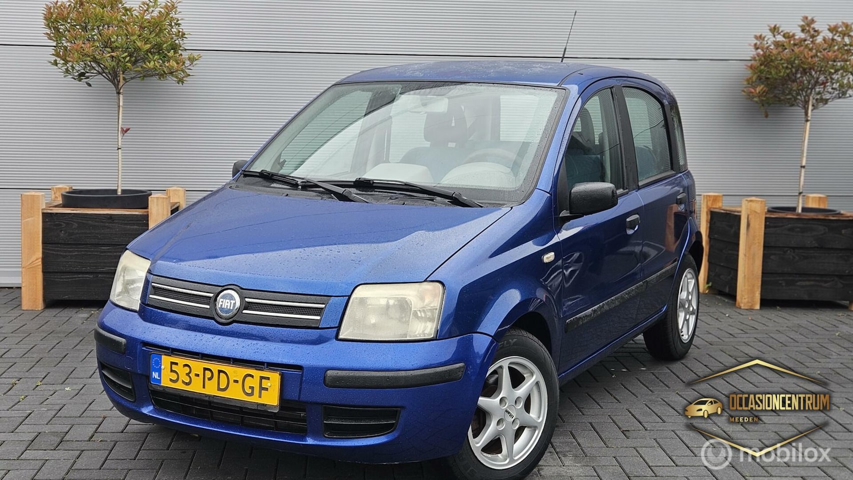 Fiat Panda - 1.2 Dynamic *inruil mogelijk* - AutoWereld.nl