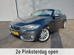 BMW 2-serie Cabrio - 218i High Executive, airco, navigatie, stoelverwarming, parkeersensoren, cruisecontrol,